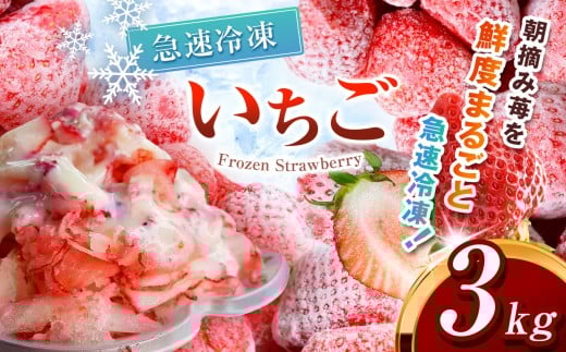 yȖ،^szⓀ Ƃ 3kg Jbgς |  󂠂 2026N Ƃ  C`S E Ⓚ W JNe X[W[ t[c  VN { Ȗ، ^s 