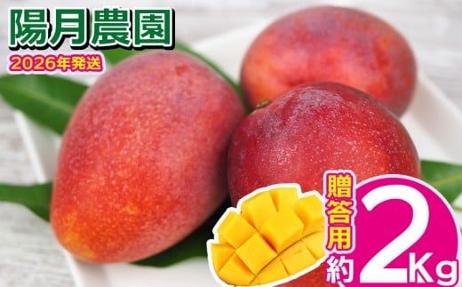 yꌧsz2026Nyz_z@p}S[ 2kg Ԍ ʌ s\ t[c ʕ 썑 v[g yY ݂₰ Mtg  G Ȃ  fU[g