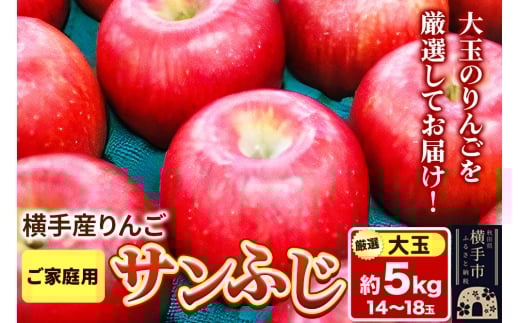 yHcsz12{蔭 scY Tӂyʁzƒp 5kg