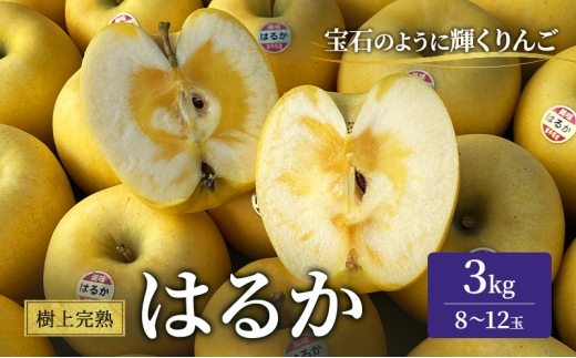 y茧sz㊮n͂邩 3kg ь S ʕ t[c  fU[g {̉ʕ {̃t[c G߂̉ʕ G߂̃t[c  茧 s