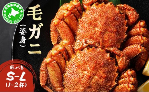 ykCɒBszIׂTCYуKjipgjS~LTCY 1or2 ogm-013-018