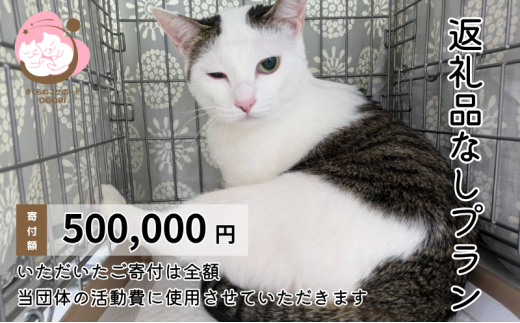 ySszیLI ԗi 500,000~i󑗕tj یL