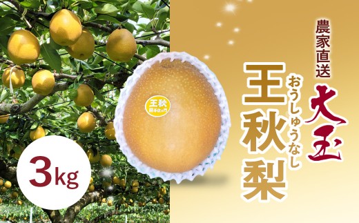 ytxsz_ƒ  H  3kg  / ӂ邳Ɣ[ t[c ʕ Ȃ iV  H  ʌ t xs TMK005