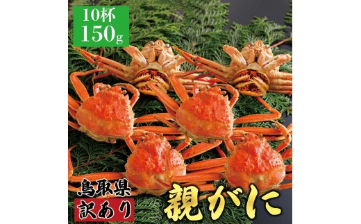 y挧khz1070.y2025N11z挧Y  e pyZRKjzi䥁jy󂠂z150g 10t