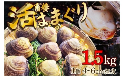 ys{Osz{{͂܂ 1.5kg@MN00055