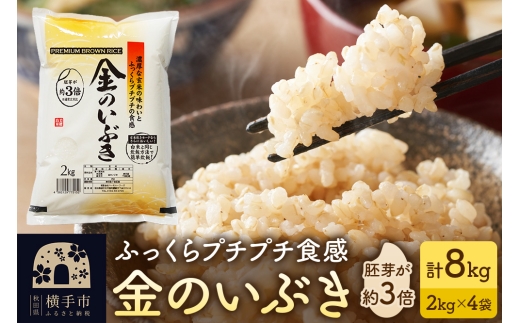 yHcszyāz ̂Ԃ 8kg(2kg×4) ߘa7NY