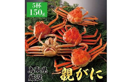 y挧khz1062.y2025N11z挧Y  e pyZRKjzi䥁j150g 5t