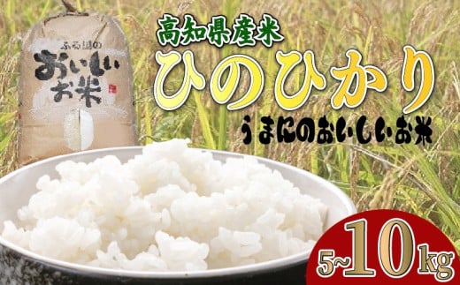 ymzy ߘa7NxY z  5kg ` 10kg Ђ̂Ђ  5L ` 10L  Y  qmqJ C䂩̗ ܂ɂ   Yn ӂ邳Ɣ[ŕ ӂ邳