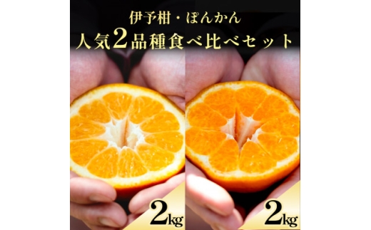 yQlszɗ\+ۂ񂩂 QlC2iHהׁe2kgD70-132y1684431z