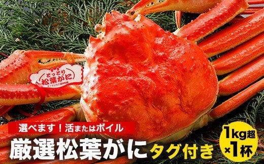 y挧khz756.yIׂ܂I܂̓{Cz2025N11  tɁyuh^Otz1kg̑傫TCY H׉ 1tytKj tI t I  R