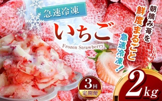 yȖ،^szy3zⓀ Ƃ 2kg Jbgς |  󂠂 2026N Ƃ  C`S E Ⓚ W JNe X[W[ t[c  VN { 