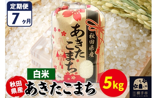 yHcszs7t܂ 5kgyāzߘa7NY HcY ܂C