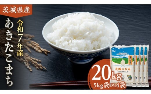 y錧}szy ߘa7NY z 錧Y ܂ 20kg ( 5kg × 4 )   R  錧  V  [DK019ci]