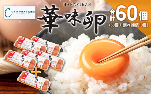 yLkLz 悾t@[̂܂ ؖ ͂Ȃ݂ 60i50{⏞10j_FR109_001