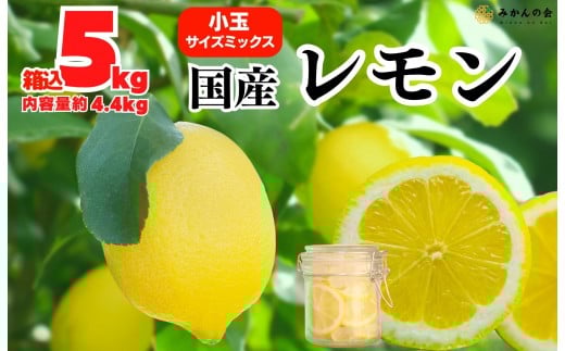 ya̎RLc쒬z  Y 5kg(eʖ4.4kg) Gi S M L TCY~bNX a̎RLcY ỷ݂z