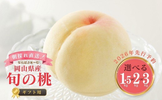 yR쒬zIׂeʁʌ聄mȂ΂ӂ[ށnRY {̓mMtgpn1.5kgi4`6ʁjor 2.0kgi5`9ʁjor 3.0kgi9`13ʁjy2026Nz