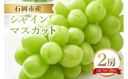 y錧Ήszy2026Ns\zΉsY VC}XJbg 700`750g 2[ ʕ t[c  錧 Ήs A38-003