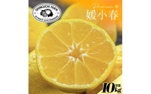 yQlszʌ聄Vܔ_Ƃɂ߂v~AQt10kg QVi큃H70-119y1683937z