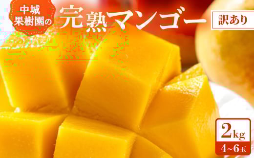 yꌧ鑺z2026N7珇Eʎ̊nAbv}S[ 󂠂2.0kg(4`6)y1673145z