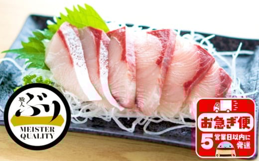 yszB2-4768^yYԂz①EԂ疳|[ViwvSj