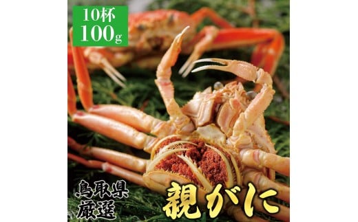 y挧khz1067.y2025N11z挧Y  e pyZRKjzi䥁j100g 10t