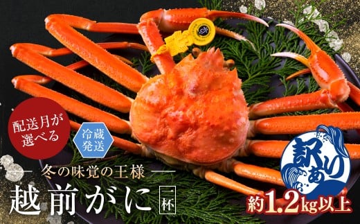 y䌧zOszy2026N1EwzzOɁiIXju킢ɁvTCYi1.2kgȏj 󂠂 1t