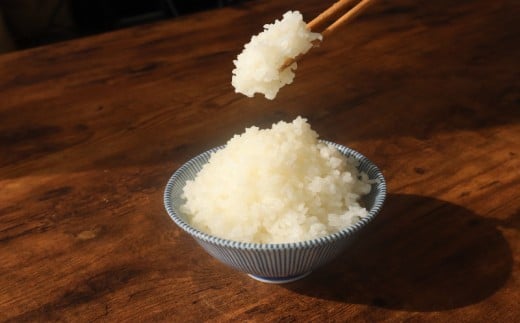 ytszy ߘa7NY z V  RVqJ 10kg  ŒZ7cƓȓ    V10kg 7NY     R CX  ͂  Ђ ꓙ Xs[