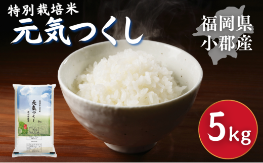 ySszʍ͔|  SY C 5kg  