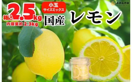 ya̎RLc쒬z  Y 2.5kg(eʖ2.3kg) Gi S M L TCY~bNX a̎RLcY ỷ݂z