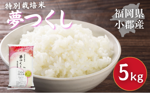 ySszʍ͔|  SY  5kg  