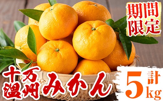 s765 ≪期間限定≫十万温州みかん(計約5kg・M～Lサイズ) 鹿児島 国産