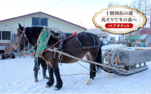 北海道 十勝 幕別町 】十勝開拓の礎 馬そりで冬の森へ［ ペア チケット
