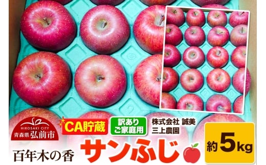 yXOOszy26N4z yCAzy󂠂zƒp SN؂̍ O_ Tӂ 5kg (14`20ʒx)ystz X ʕ t[c ь S  s KiO