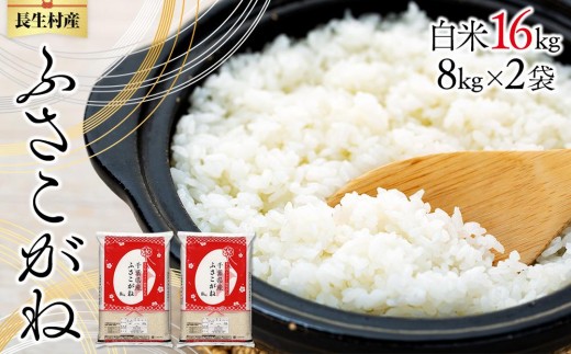 ytzE01-B01-00 ߘa7NY Yӂˁi16kgj