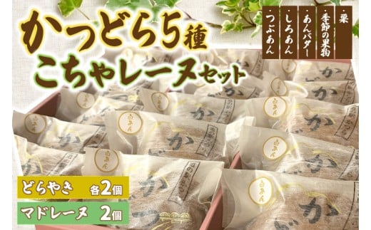 y錧闢zǂ₫5Ƃ჌[kZbg (AF099)