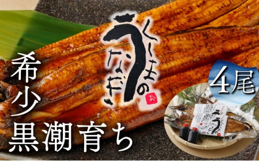 y{茧ԎszKU469-4 ܂̍ȂĂSiv800gOjycXz