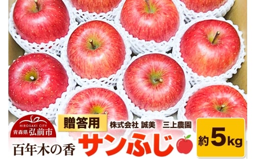 yXOOszy25N12`z p SN؂̍ O_ Tӂ 5kgystz X ʕ t[c ь S  \