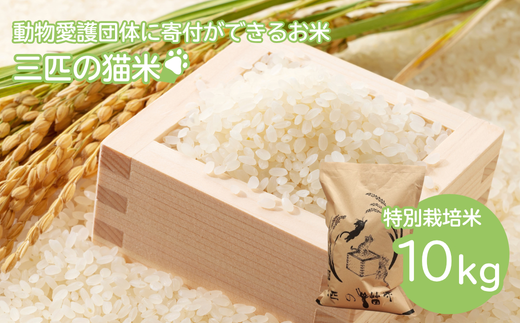 yʌ{szOC̔L/یɌg/ʍ͔| 10kg