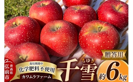 yXOOsz   6kg Jt@[ p X ʕ t[c ь S 