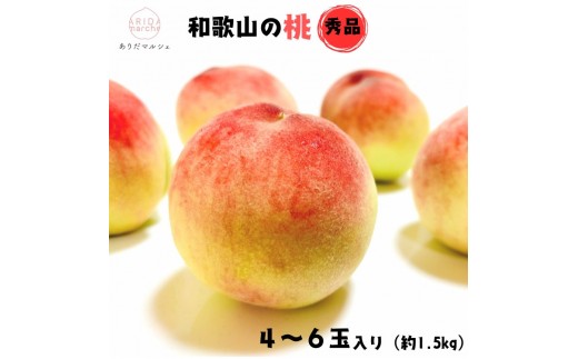 ya̎Rxczss\E2026N6`tI a̎R̂蓍 4`6 (1.5kg)mMS130n