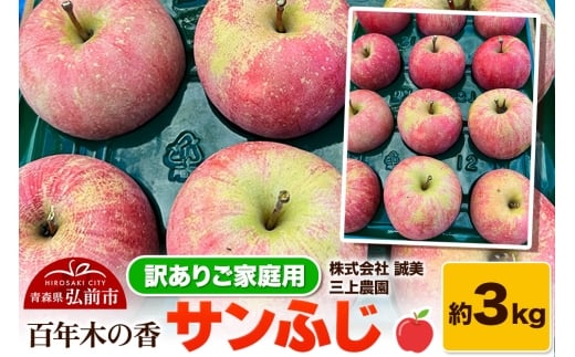 yXOOszy25N12`z y󂠂zƒp SN؂̍ O_ Tӂ 3kgystz X ʕ t[c ь S  s KiO \