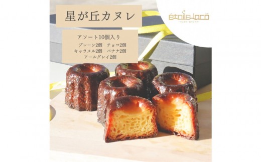 ymÉszyuJk A\[gZbg10@5̃t[o[ztX̏Ăَq XC[c   Ⓚ m lC 