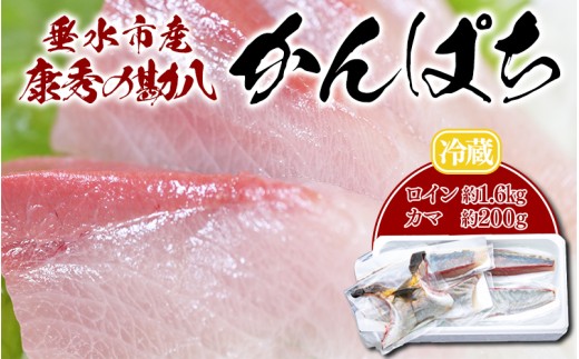 yszD4-7701^NG̊ C 4 { J} 2iv1.8kgj①