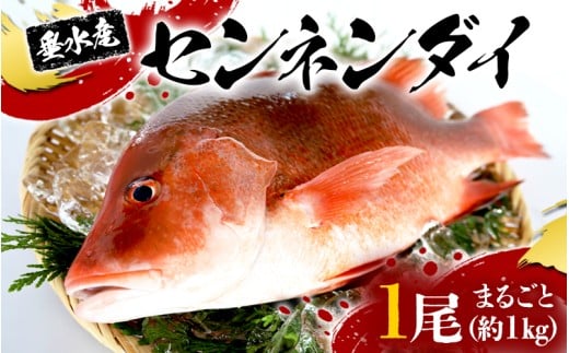 yszC3-7702^Zl_C ۂ 1iȂE1kgj