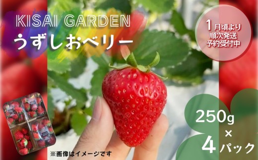 yszy2026N1菇zKISAI BERRY 250g×4pbN yʌz | ͔|Ԓ_sgp   C`S   ʕ t[c X[W[ W
