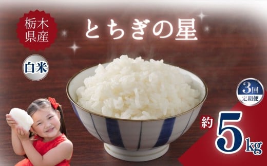 yȖ،szy3zȖ،YƂ̐ 5kg |      ӂ邳 Ȗ، s yȖ،ʕԗiz uh