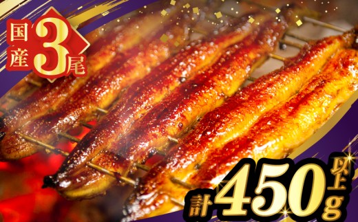 y{茧s_zyߘa8N1zȂ3(񂵂傤Et)v450gȏ V   Hi Y_T026-014-01