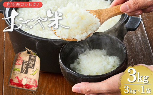 yVJszߘa7NY YRVqJuāv v3kgi3kg×1܁j Ntg JA V A̋n | VYRVqJ    Ђ Y Js 