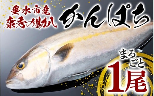 yszC3-7703^NG̊ ܂邲 1iȂE3.5kgOj