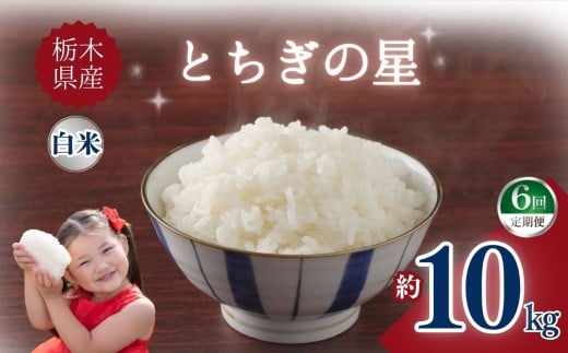 yȖ،szy6zȖ،YƂ̐ 10kg |      ӂ邳 Ȗ، s yȖ،ʕԗiz uh